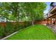 Expansive backyard featuring well-maintained lawn, mature trees, and professional landscaping, creating a serene outdoor space at 7027 Chestnut Hill St, Highlands Ranch, CO 80130