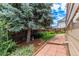 Private backyard featuring a well-maintained lawn, mature tree, and paved walkway, perfect for relaxation at 10478 W 82Nd Ave, Arvada, CO 80005