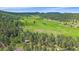 Breathtaking aerial perspective of a verdant meadow, showcasing a house nestled within the surrounding trees at 26085 Amy Cir, Conifer, CO 80433