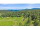 Aerial view of a secluded home surrounded by lush greenery and rolling hills, showcasing natural beauty at 26085 Amy Cir, Conifer, CO 80433