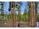Backyard with tall trees, mountain views, and fence at 47 Forest Cir, Breckenridge, CO 80424