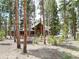 Charming wood home surrounded by towering trees offers a secluded and private setting at 47 Forest Cir, Breckenridge, CO 80424