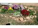 Small landscaped flower garden featuring a variety of colorful flowering plants at 11953 Us Highway 285, Conifer, CO 80433