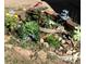 A landscaped garden bed with a variety of flowers and decorative elements at 11953 Us Highway 285, Conifer, CO 80433