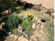 A small, landscaped garden with a variety of flowers and decorative elements at 11953 Us Highway 285, Conifer, CO 80433