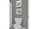 This bathroom features a white toilet and decorative wall art, adding a touch of elegance to the space at 10683 Amesbury Way, Highlands Ranch, CO 80126