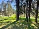 A spacious tree-lined backyard with vibrant greenery, offering a peaceful retreat with lots of space at 5777 County Road 154, Elizabeth, CO 80107