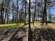 Natural backyard showcasing mature trees and sunny glades, creating a tranquil and inviting outdoor space at 5777 County Road 154, Elizabeth, CO 80107