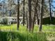 Back view of a two-story home nestled among tall trees and surrounded by lush greenery, creating a private oasis at 5777 County Road 154, Elizabeth, CO 80107