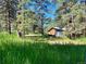 Side view of an outbuilding nestled in a lush and very treed mountain community at 5777 County Road 154, Elizabeth, CO 80107