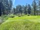 Lush meadow scene, fenced with views of evergreen trees at 5777 County Road 154, Elizabeth, CO 80107