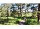 Walking path through a treed property with natural setting and lush grassy areas at 5777 County Road 154, Elizabeth, CO 80107