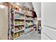 Well-organized pantry with ample shelving for food storage at 1210 Horsetail Loop, Elizabeth, CO 80107