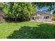 Lush backyard with a large grassy area, mature trees, and a patio, perfect for relaxation and recreation at 6230 Snowberry Ave, Firestone, CO 80504