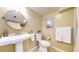 Basement bathroom with a pedestal sink, mirror, and toilet at 1560 Hudson St, Denver, CO 80220