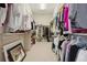 Spacious walk-in closet with organized shelving and ample hanging space for clothing and accessories at 5622 Shadescale Way, Castle Rock, CO 80104