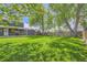 Expansive backyard showing lush green lawn, mature trees, fencing, covered patio, and storage shed at 10541 Routt St, Westminster, CO 80021