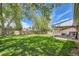 Large, well-maintained backyard with lush lawn, mature trees, wood fence, and covered patio area at 10541 Routt St, Westminster, CO 80021