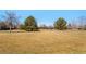 Expansive grassy field with mature trees, offers a peaceful and scenic natural setting at 621 S Harrison Ln, Denver, CO 80209