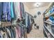 Spacious walk-in closet with ample storage shelves, hanging rods and overhead lighting at 12133 Crabapple St, Broomfield, CO 80020