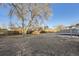 Backyard with a deck and large bare trees along the wooden fence at 1205 W 101St Ave, Northglenn, CO 80260