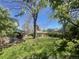 Expansive backyard with mature trees, lush grass, a shed, and an outdoor living space at 12682 W Louisiana Ave, Lakewood, CO 80228