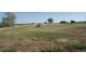 Large grassy lot featuring vibrant green grass and a few trees in the distance under a clear blue sky at 6363 County Road 20, Longmont, CO 80504