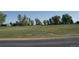 Wide shot of property showcasing a sprawling grassy yard and various trees, under a clear sky at 6363 County Road 20, Longmont, CO 80504