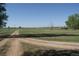 Expansive grass yard with a dirt driveway leading to the open field, and clear blue sky at 6363 County Road 20, Longmont, CO 80504