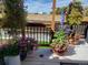 Inviting wooden deck adorned with lush potted plants and hanging baskets for a tranquil outdoor experience at 475 Hampstead Ave, Castle Rock, CO 80104