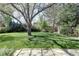 Green backyard featuring a lush lawn, mature trees, and concrete pavers, offering a serene outdoor space at 10886 E Berry Ave, Englewood, CO 80111
