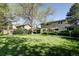 Expansive backyard with lush lawn, mature trees, and covered patio area perfect for outdoor entertaining at 10886 E Berry Ave, Englewood, CO 80111