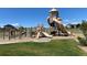 Community playground with multiple slides, climbing structures, and soft turf for safe play at 10906 Pastel Pt, Parker, CO 80134