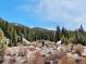 Picturesque landscape of evergreen forests and mountain views, creating a serene and beautiful environment at 4192 Highway 9 # 3, Breckenridge, CO 80424