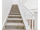 Carpeted staircase with white railing leading to the upper level, offering a view of the kitchen at 9236 E 52Nd Dr, Denver, CO 80238