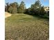 A beautiful green yard featuring mature trees providing shade and an open space for outdoor activities at 970 Inyokern Ct, Watkins, CO 80137