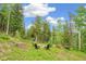 Cozy backyard sitting area with chairs surrounding a fire pit and a serene wooded backdrop at 1758 Sinton Rd, Evergreen, CO 80439