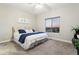 Bedroom with carpet flooring, a ceiling fan, light-colored walls and large window view at 20201 Royal Troon Dr, Monument, CO 80132