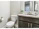 Cozy powder room with contemporary fixtures including sleek vanity with sink and a low-flow toilet at 20201 Royal Troon Dr, Monument, CO 80132