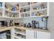 Well-organized pantry with white shelves, cabinets, and a variety of kitchen appliances and goods at 2496 S Leyden St, Denver, CO 80222