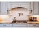 Gourmet kitchen features white cabinets, stainless steel appliances, and tiled backsplash at 455 Forest St, Denver, CO 80220