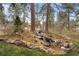 Backyard with a decorative rock water feature and a view of the surrounding landscape at 3315 Klondike Pl, Castle Rock, CO 80108
