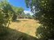 Expansive backyard space showcasing the property's generous lot size and mature trees at 6139 S Adams Dr, Centennial, CO 80121