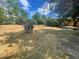 Large backyard offering plenty of room for outdoor activities and potential landscaping projects at 6139 S Adams Dr, Centennial, CO 80121