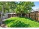Green backyard featuring a wooden fence, a grassy lawn, and mature trees providing shade at 321 S Emerson St, Denver, CO 80209
