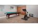 Fun game room featuring a pool table, exercise bike, and storage cabinets at 4336 Chateau Ridge Rd, Castle Rock, CO 80108