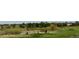 Scenic view of the community's open space and disc golf area at 16179 W 70Th Pl, Arvada, CO 80007