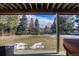 A spacious backyard with a manicured lawn, mature trees, and a partial view of a covered patio area at 8 Mountain Willow Dr, Littleton, CO 80127