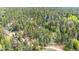 Expansive wooded lot with a dense forest and several dirt roads running throughout the property at 12346 Bear Haven Rd, Conifer, CO 80433