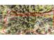 Aerial view of the approximate property lines showing homesite at 12346 Bear Haven Rd, Conifer, CO 80433